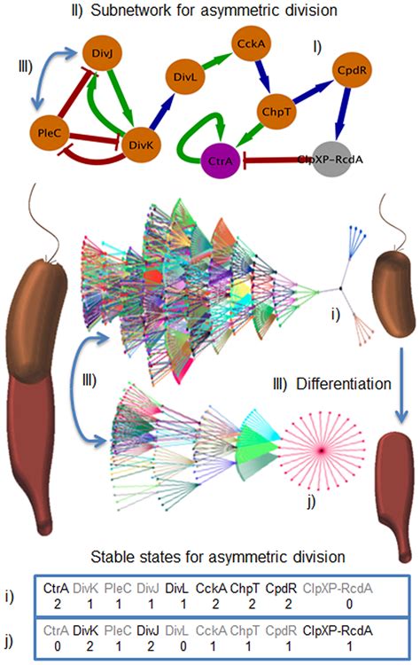 Full article: The emergence of cell.